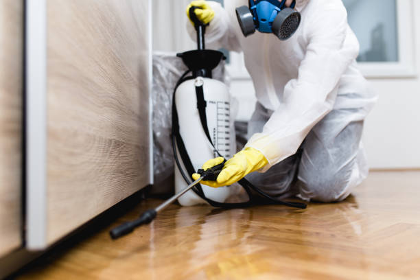Best Affordable Pest Control Services  in Hudson, FL