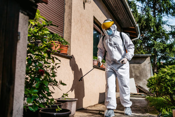 Trusted Hudson, FL Pest Control Experts