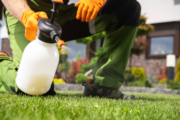 Best Pest Removal Services  in Hudson, FL