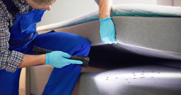  Hudson, FL Pest Control Pros