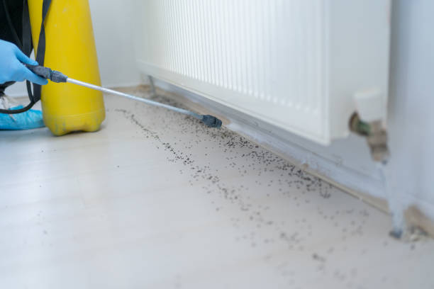 Best Termite Control Services  in Hudson, FL