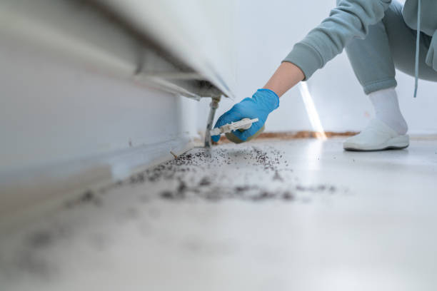 Best Best Pest Control Companies  in Hudson, FL