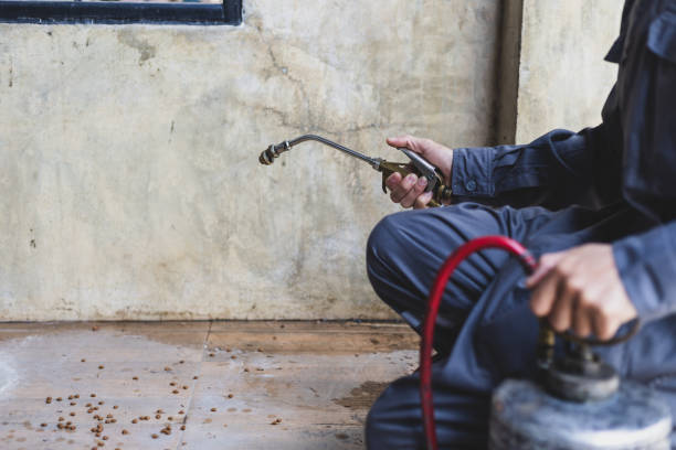 Best Best Pest Control Companies  in Hudson, FL