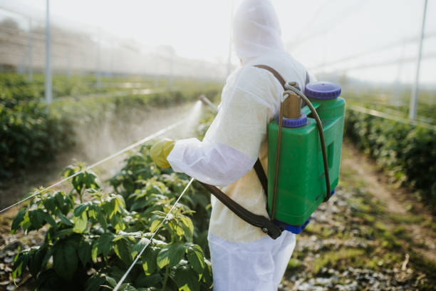Trusted Hudson, FL Pest Control Experts